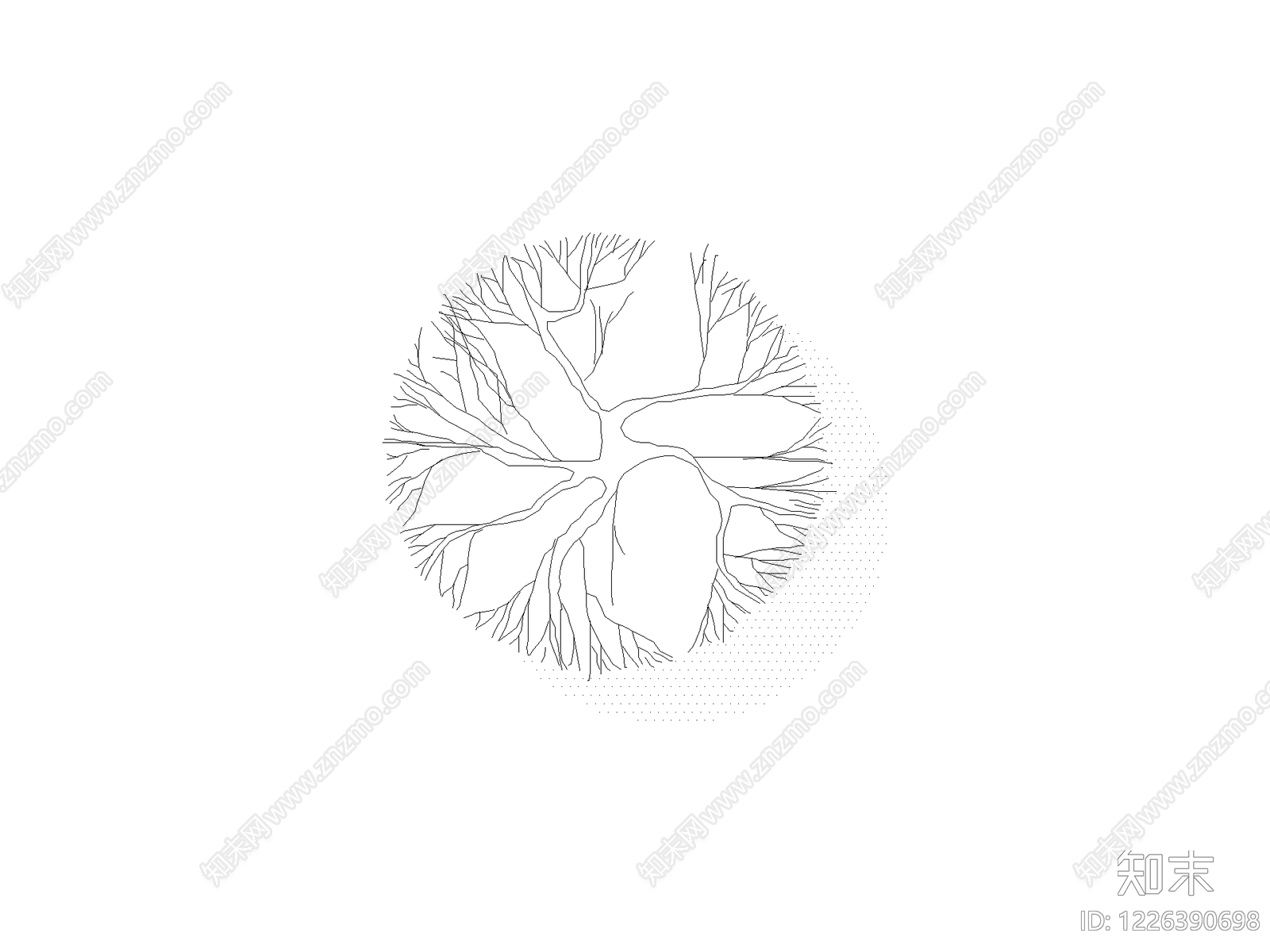 乔木种植CAD图纸