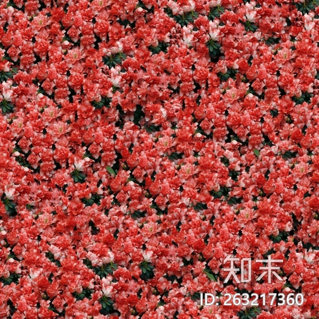 花床贴图下载【ID:263217360】