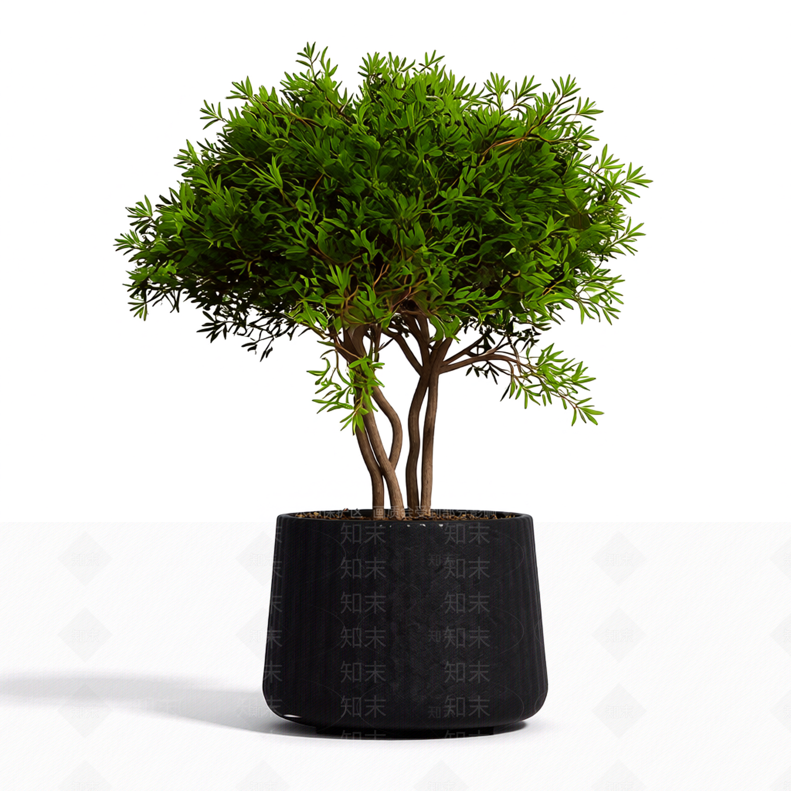 带盆完整盆栽3D模型下载【ID:1206191476】