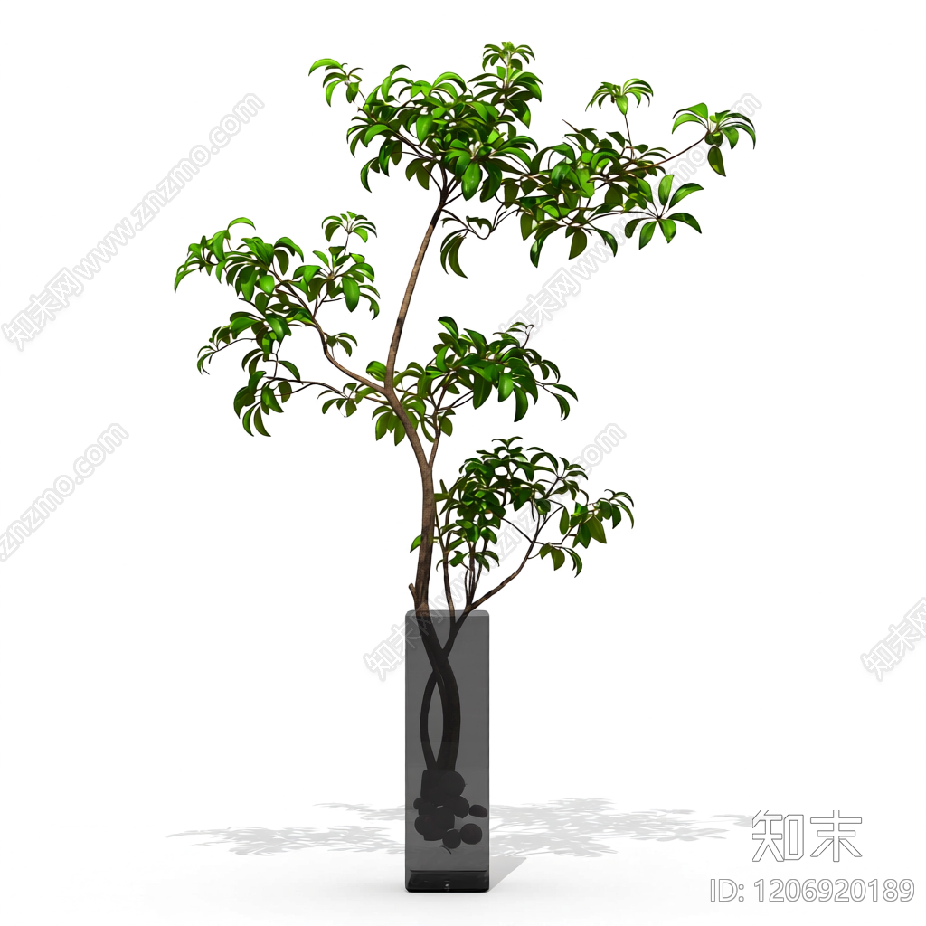 盆栽植物带花盆3D模型下载【ID:1206920189】