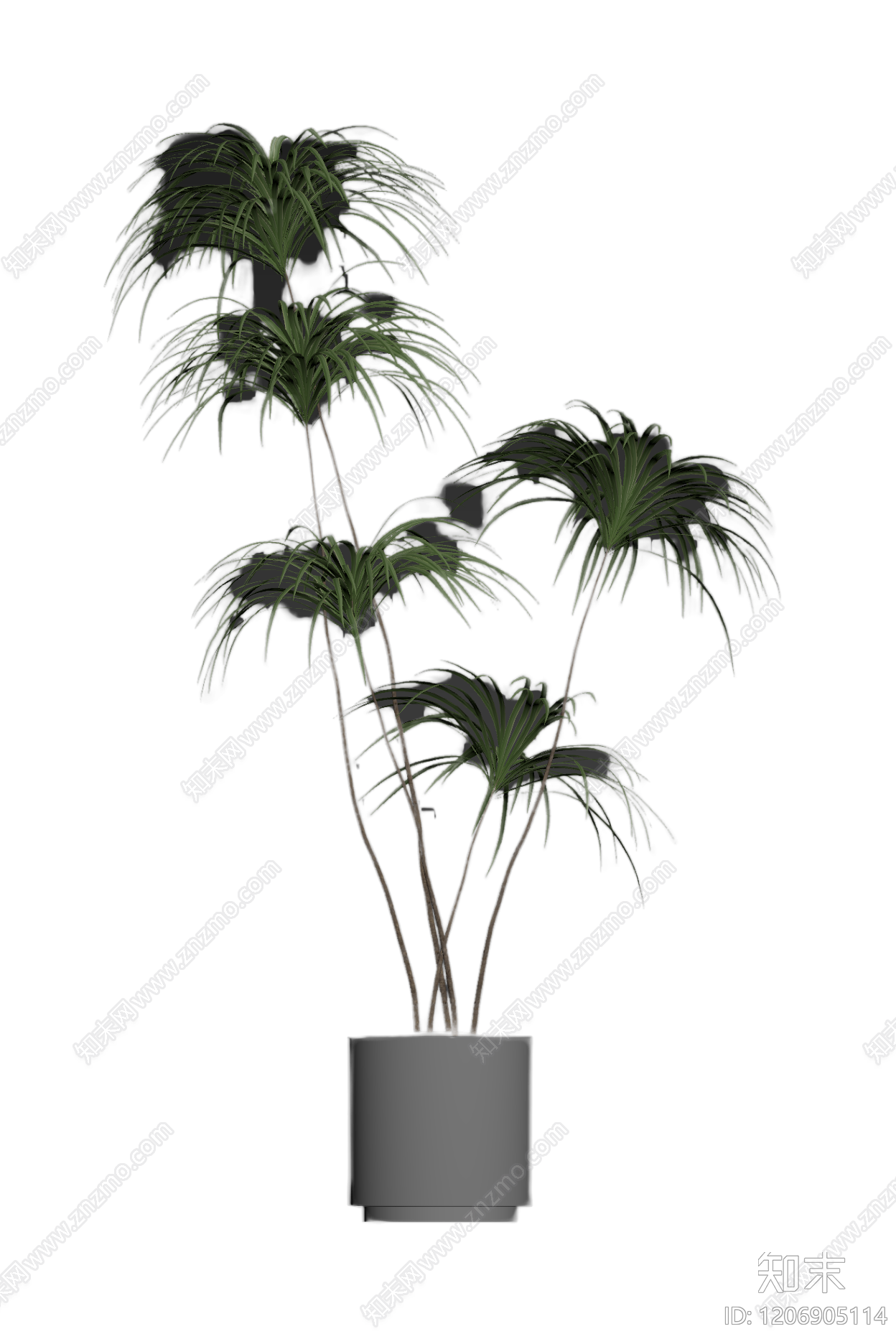 盆栽植物组合3D模型下载【ID:1206905114】
