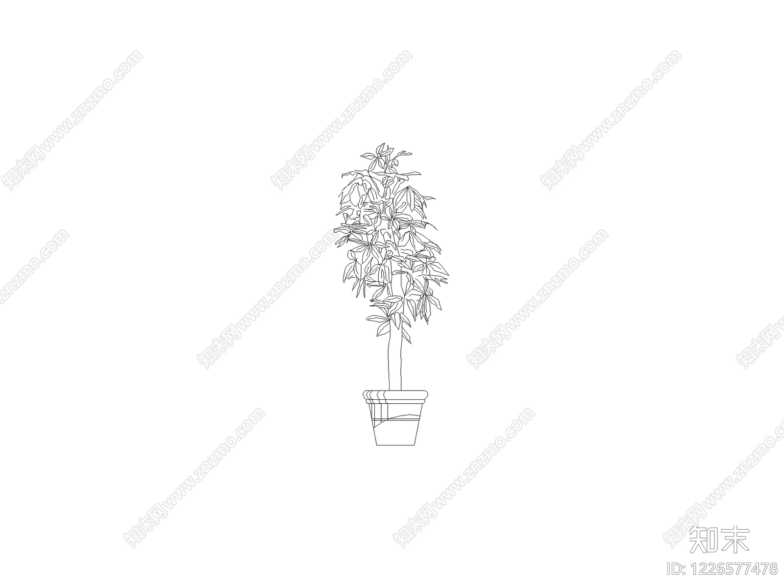 绿植cad施工图下载【ID:1226577478】