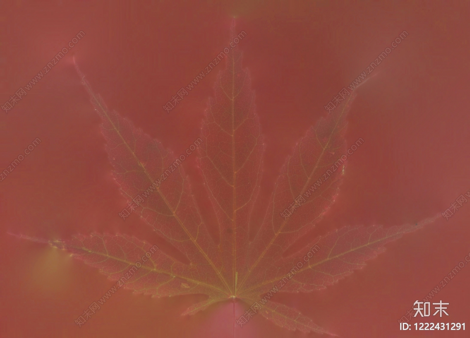 透明度贴图高清贴图材质