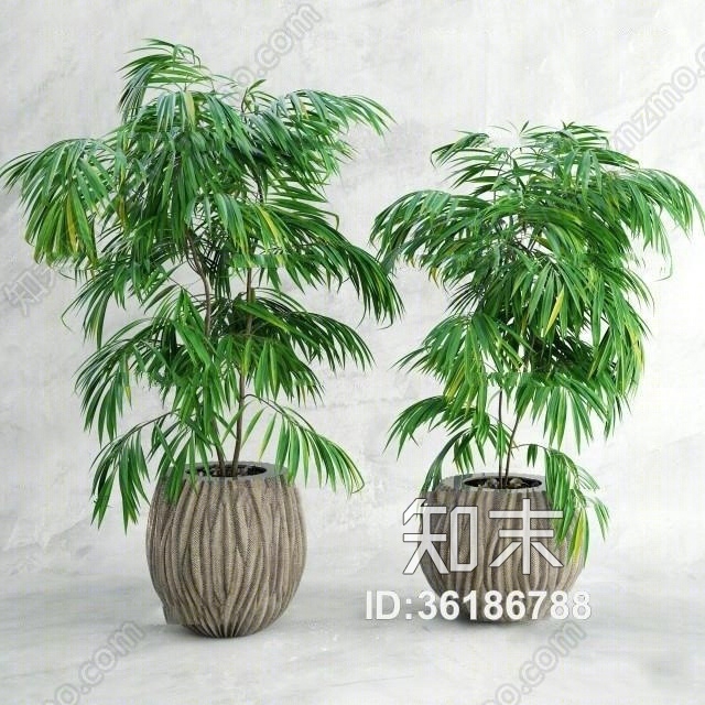 现代绿植盆栽组合3D模型下载【ID:36186788】