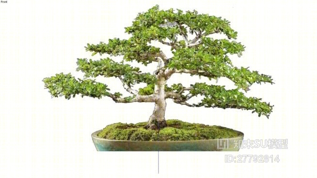 树SU模型下载【ID:27792814】