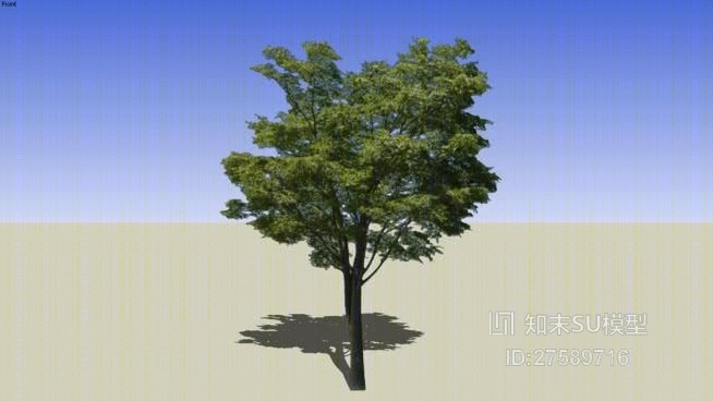 树SU模型下载【ID:119295683】