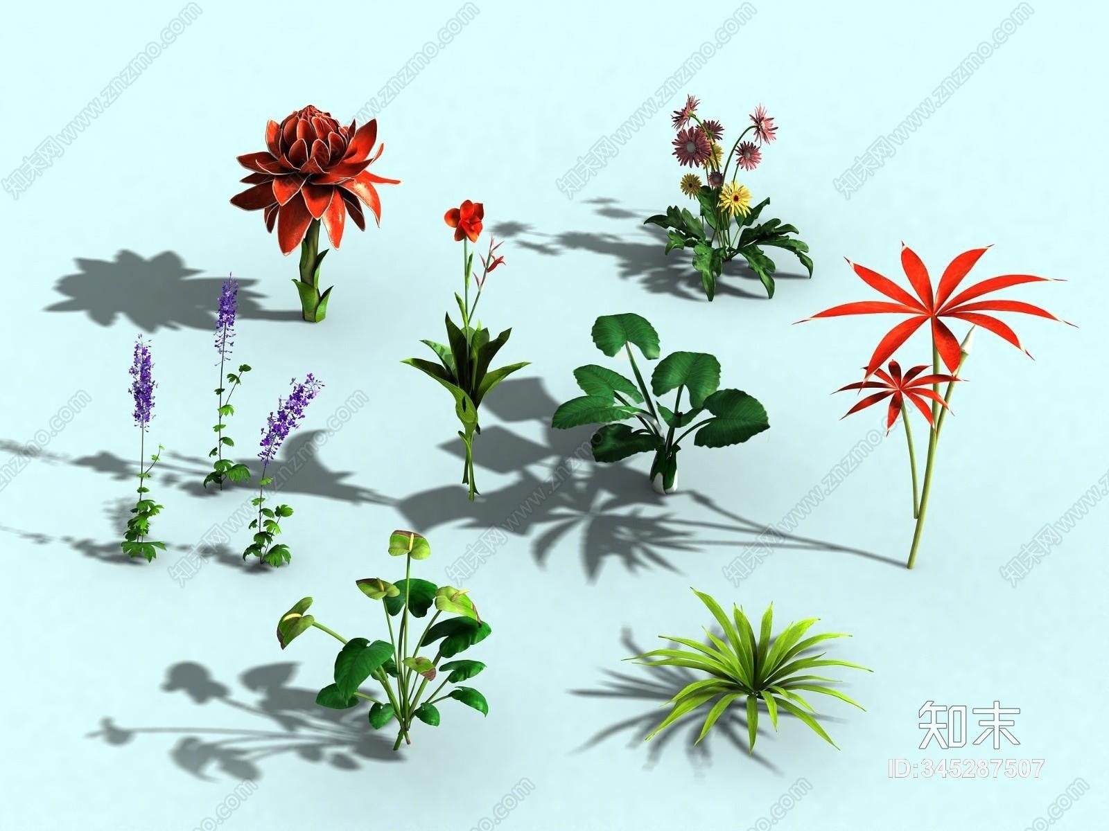 现代花草3D模型下载【ID:345287507】