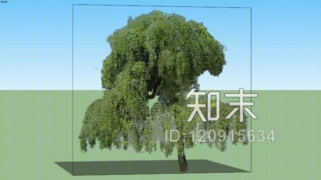 树木SU模型下载【ID:120915634】