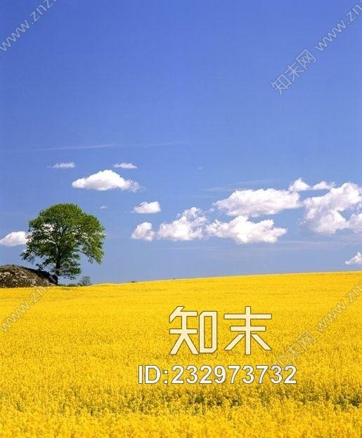 外景-外景贴图下载【ID:232973732】