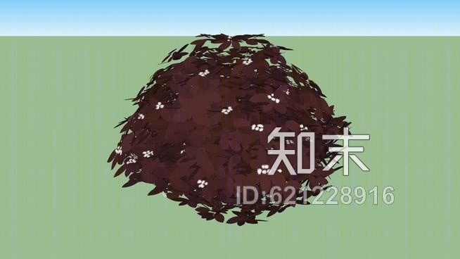 physocarpusSU模型下载【ID:621228916】