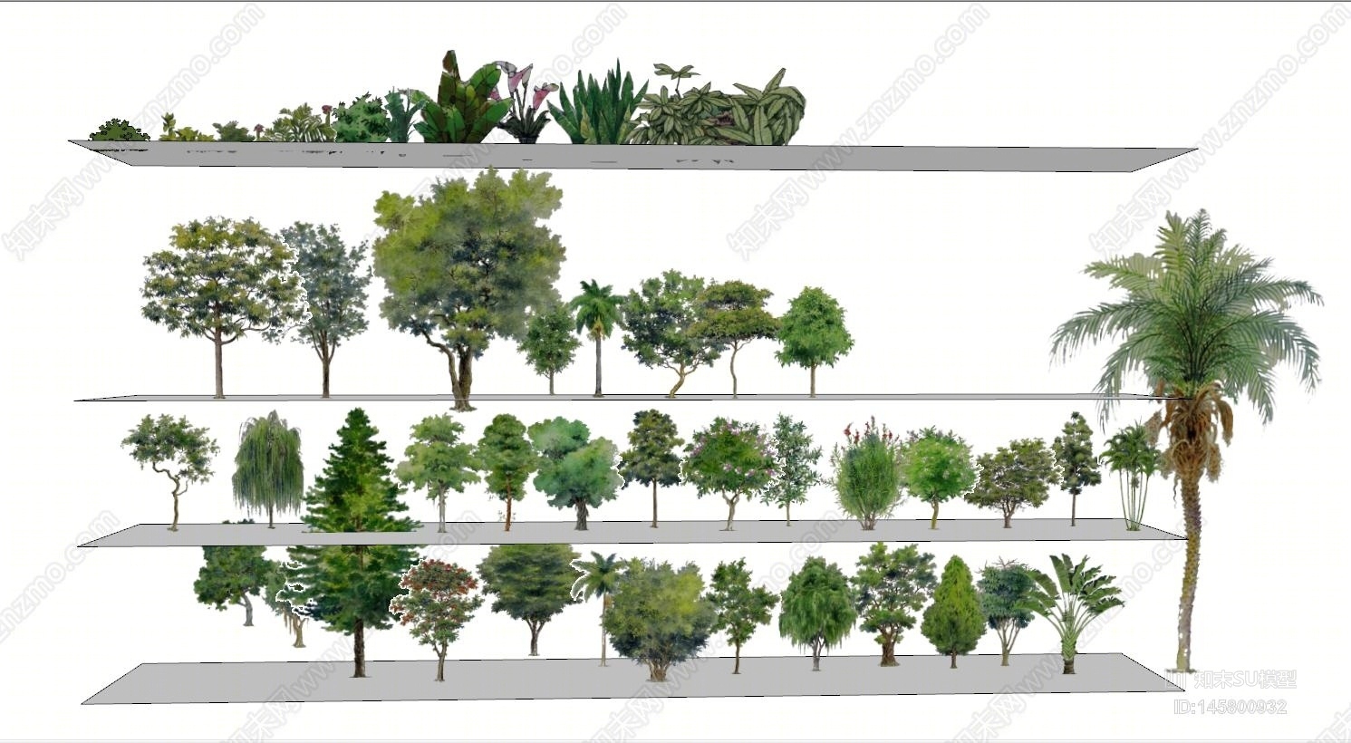 现代室外景观植物SU模型下载【ID:145800932】