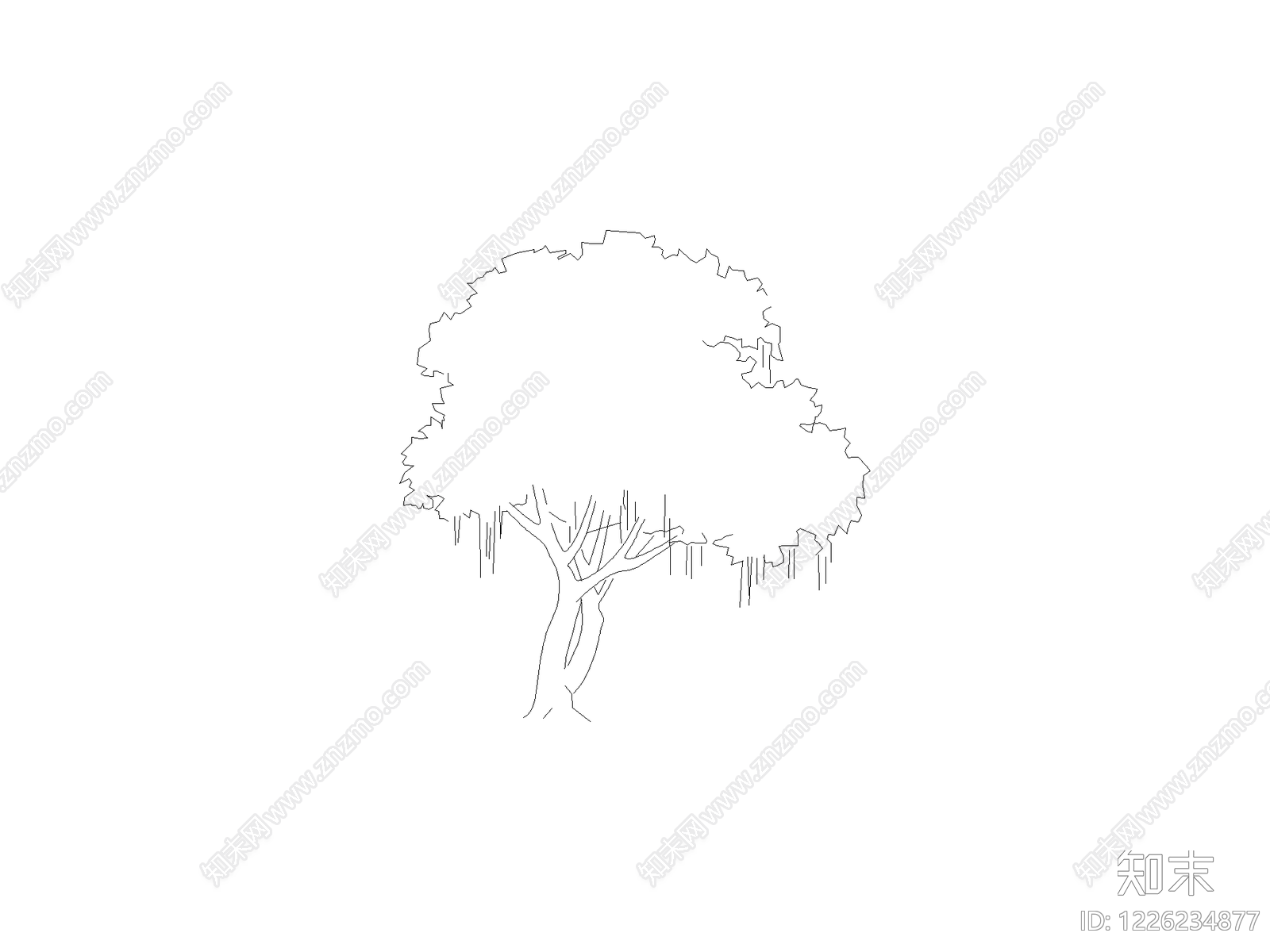现代乔木种植CAD图纸