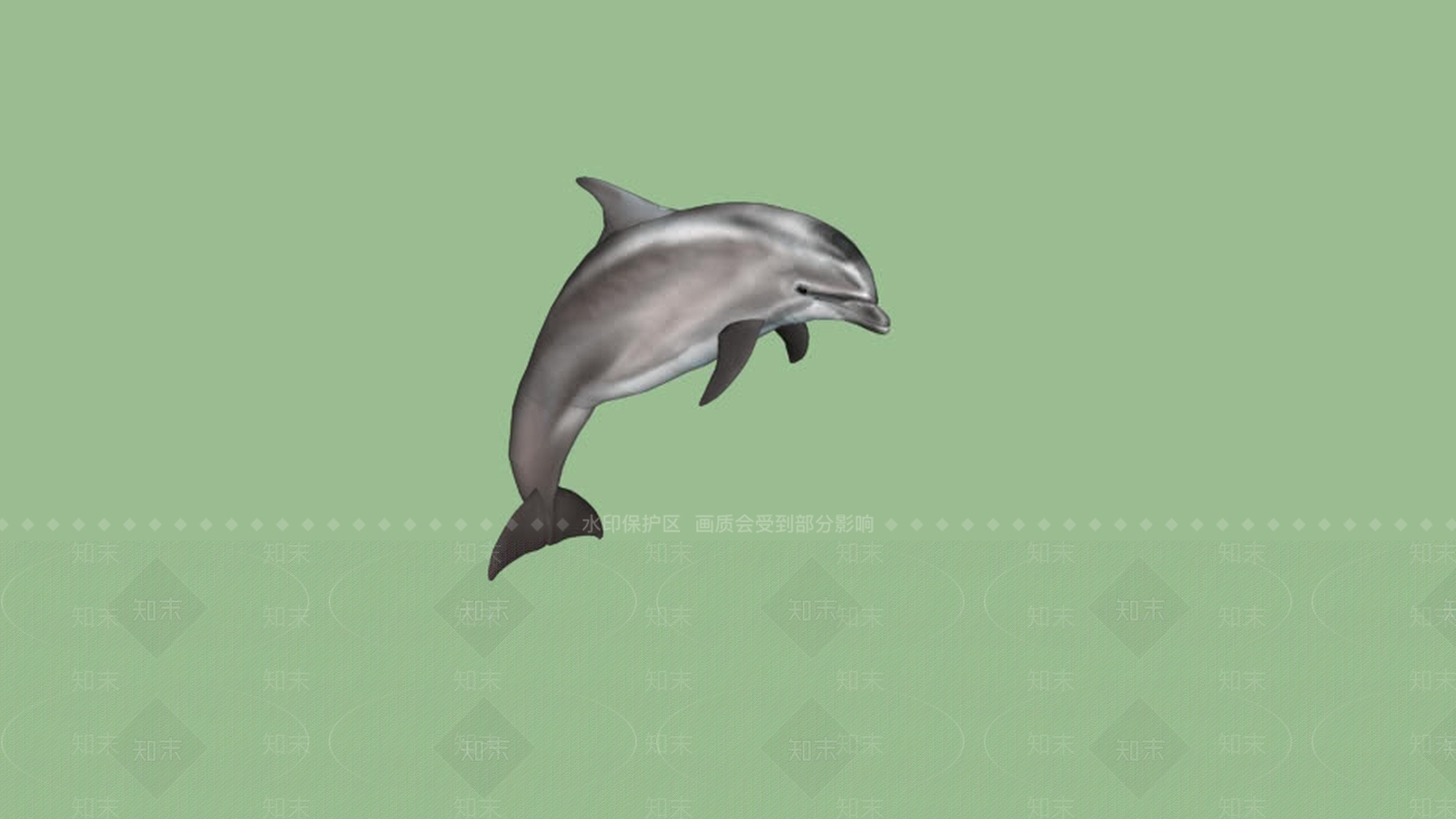 大西洋宽吻海豚SU模型下载【ID:1162597295】