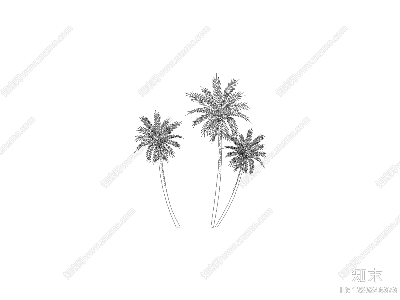 现代乔木种植CAD图纸