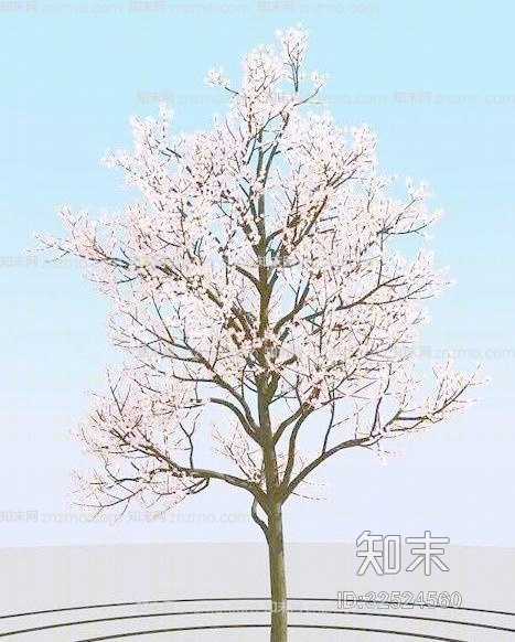 树523D模型下载【ID:32524560】