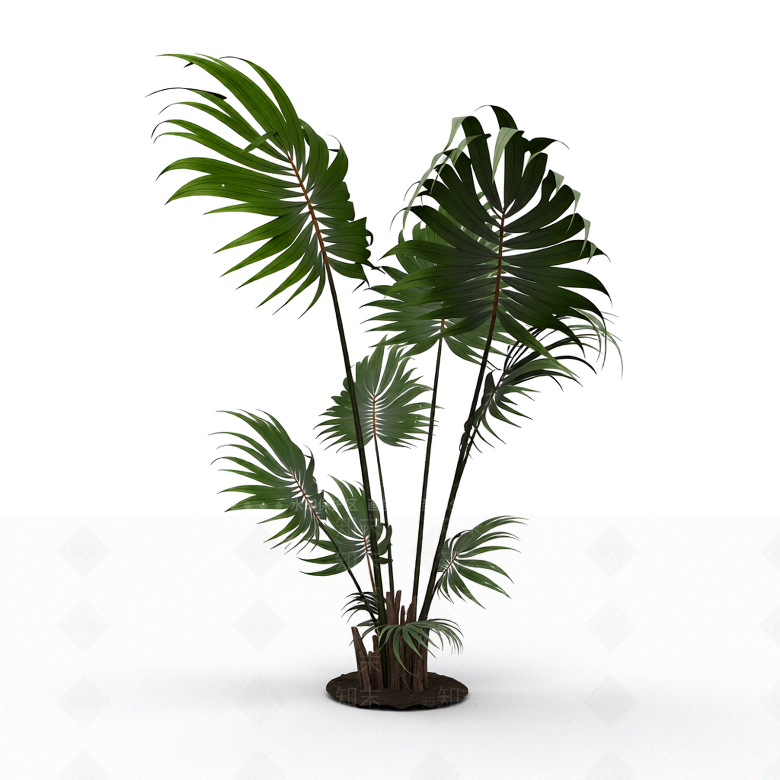 带盆绿植模型3D模型下载【ID:1206189570】