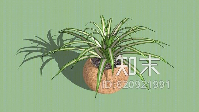 变压植物SU模型下载【ID:620921991】