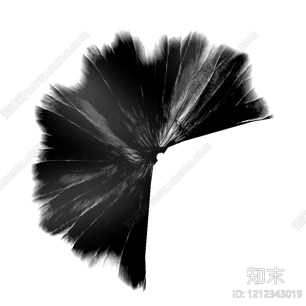 动物皮毛贴图下载【ID:1212343019】