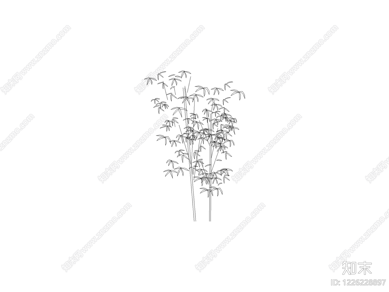 现代乔木种植CAD图纸