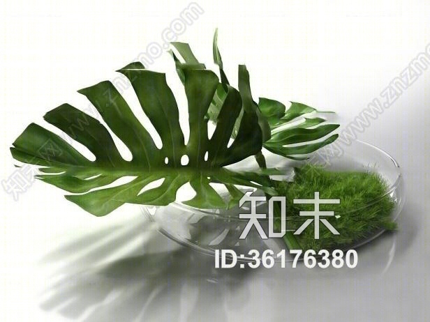 现在玻璃器皿绿植3D模型下载【ID:36176380】