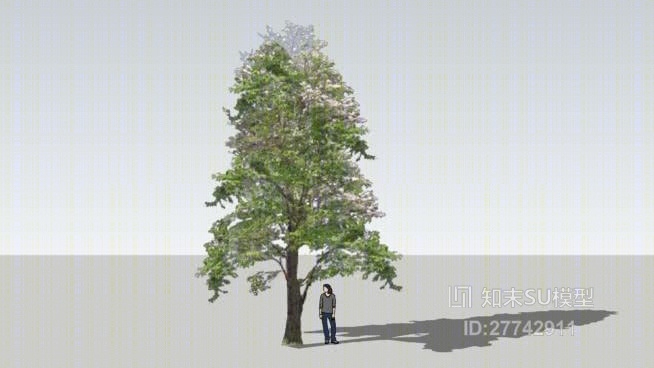 树SU模型下载【ID:27742911】
