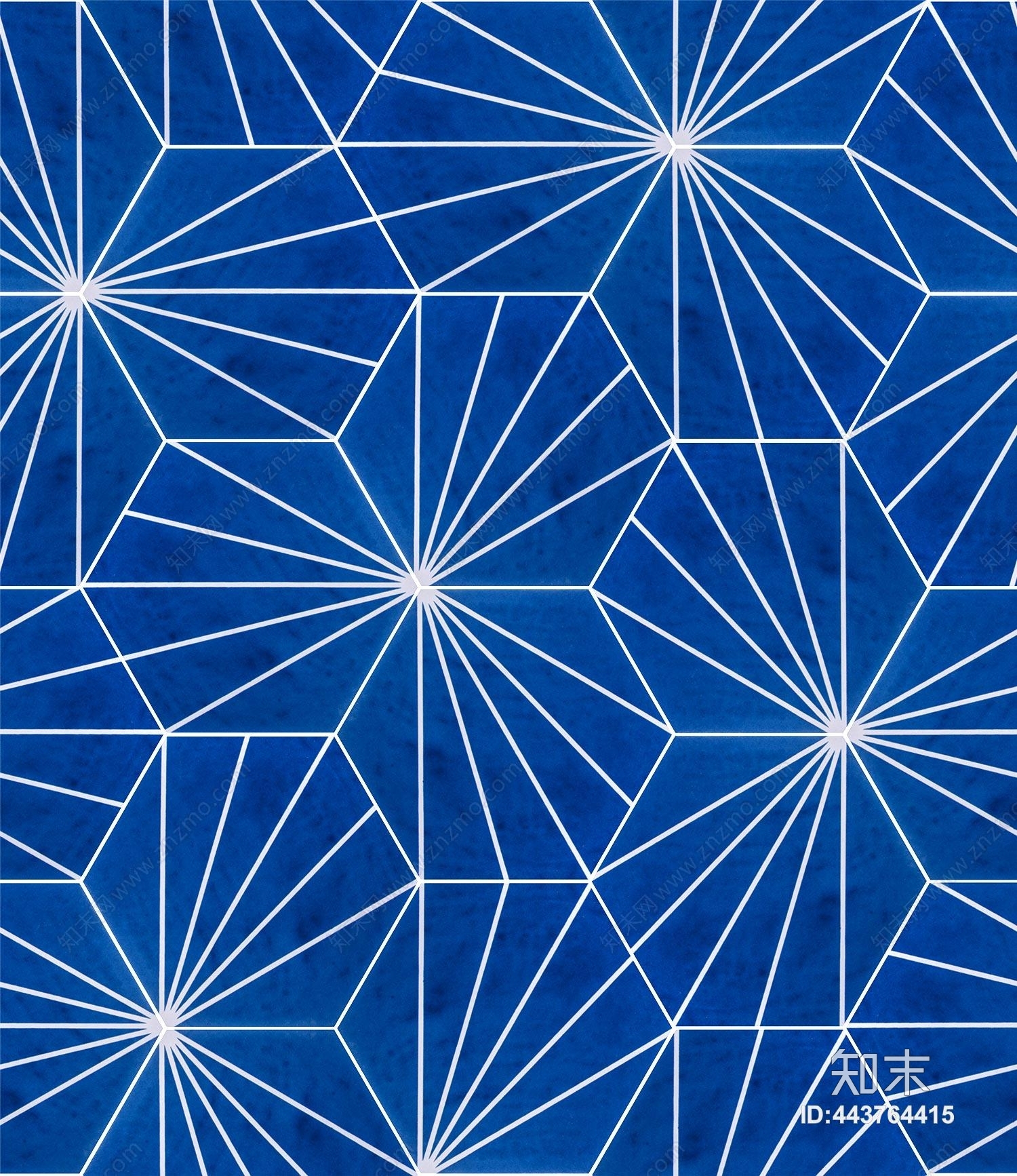 放射线特色六角砖贴图下载【ID:443764415】