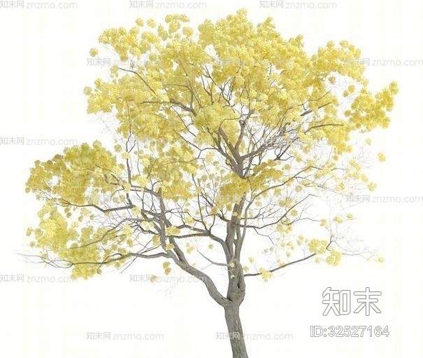 树733D模型下载【ID:32527164】
