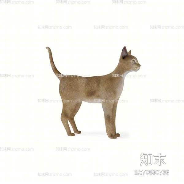 棕色猫3D模型下载【ID:70830783】