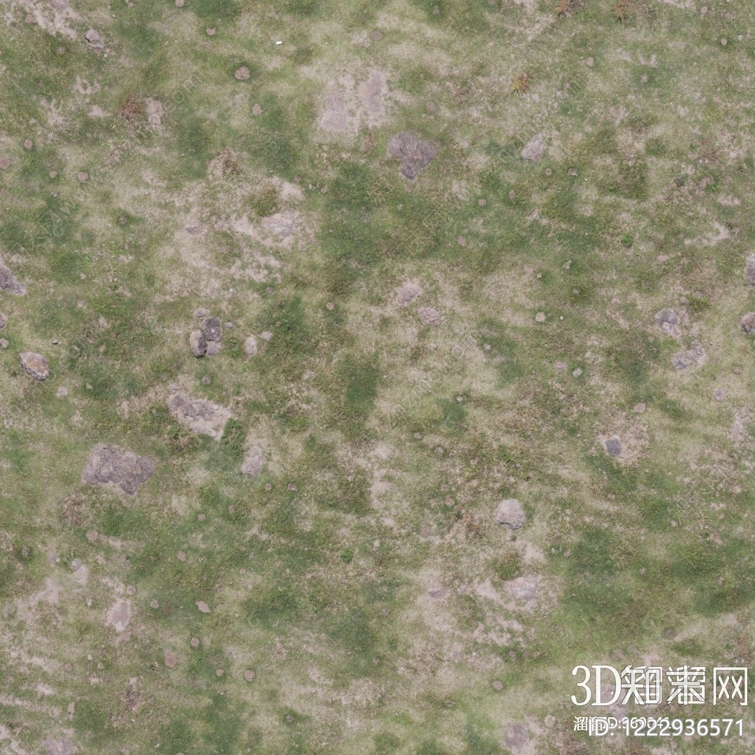 自然地面贴图下载【ID:1222936571】