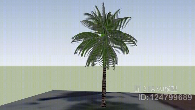 圣塔巴巴拉阿姆特拉克棕榈树2号SU模型下载【ID:124799689】