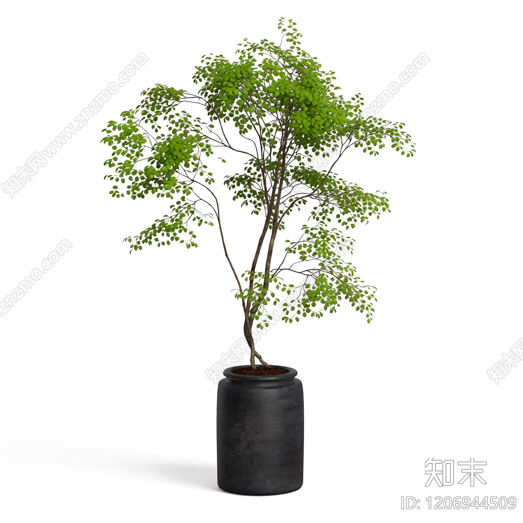 盆栽植物装饰3D模型下载【ID:1206944509】