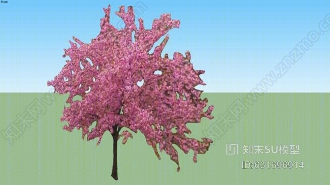 樱桃树SU模型下载【ID:631696914】