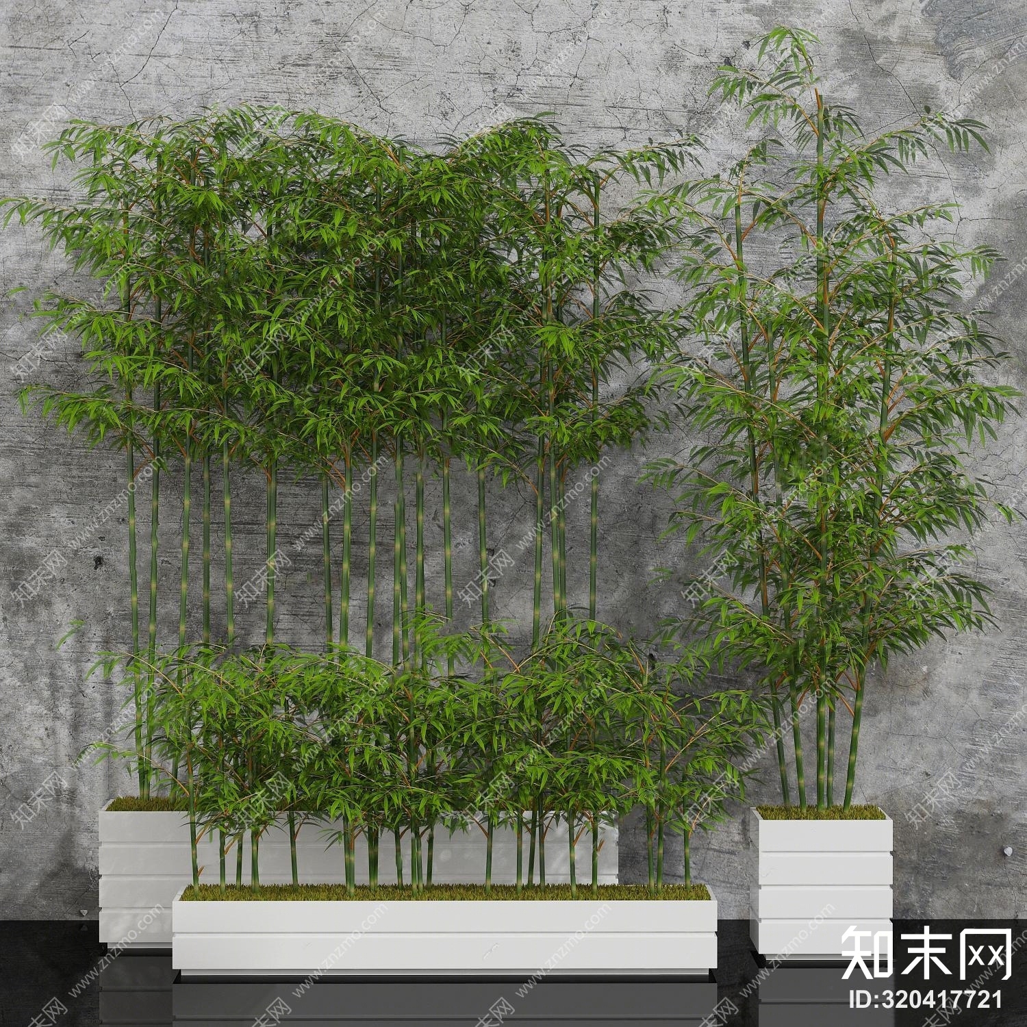 现代竹子植物盆栽组合3D模型下载【ID:320417721】