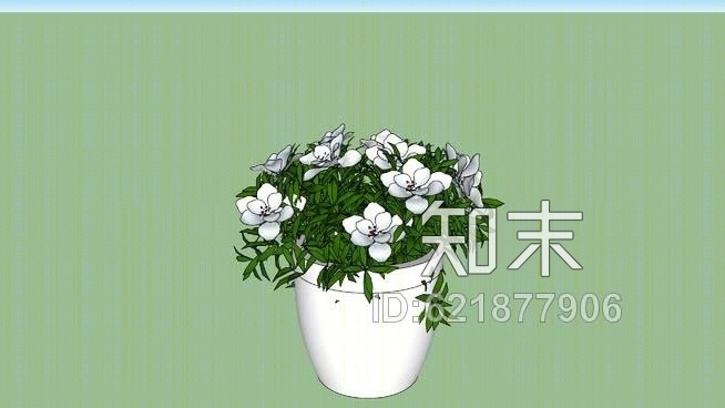 WhiteSU模型下载【ID:621877906】