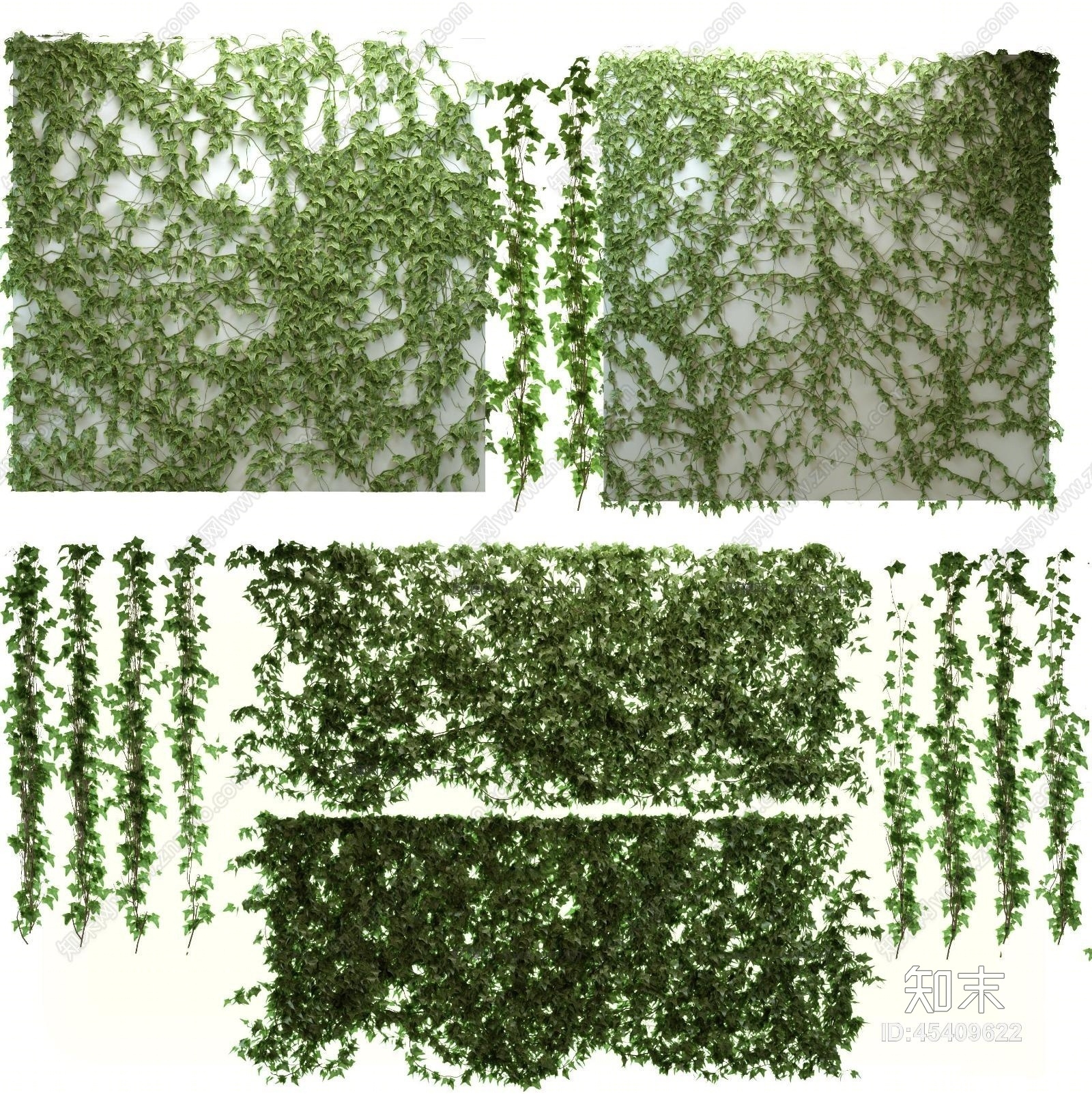 现代爬山虎绿植藤蔓3D模型下载【ID:45409622】