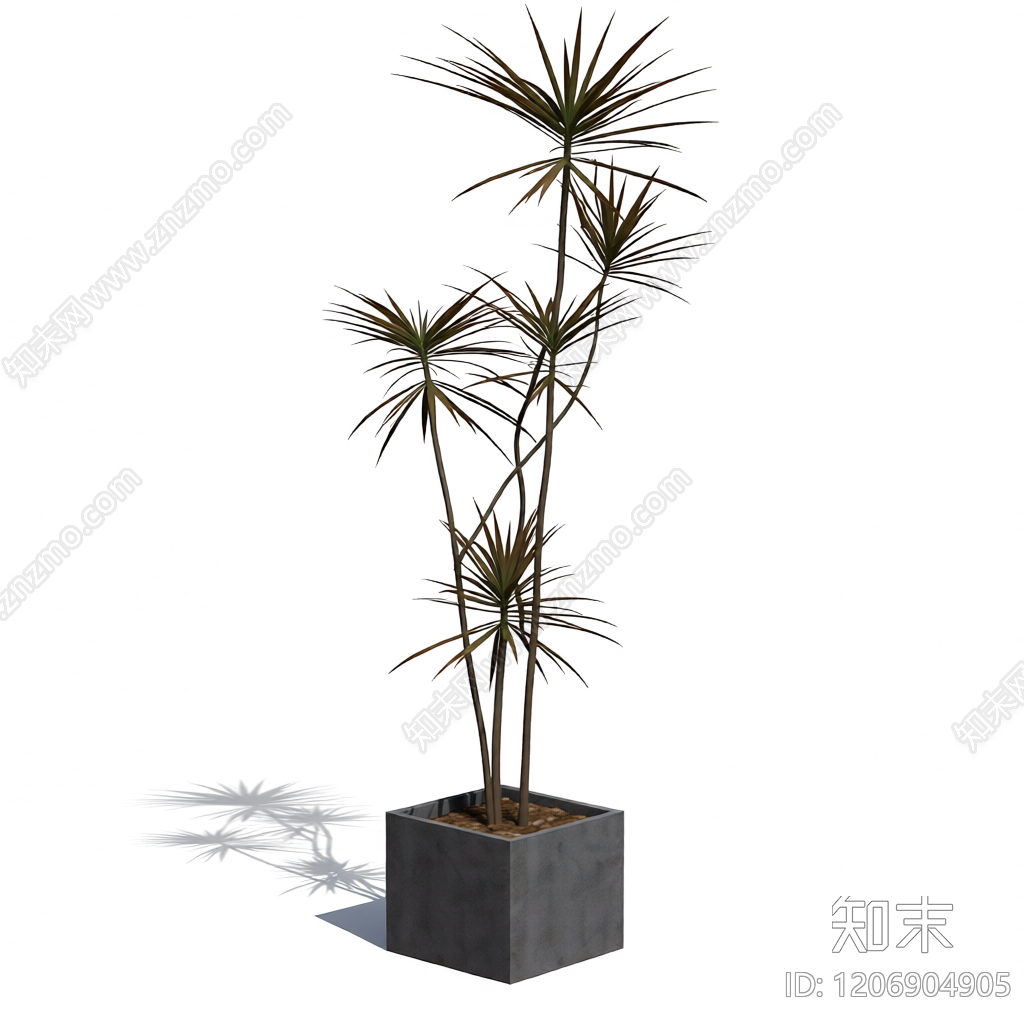 盆栽植物组合3D模型下载【ID:1206904905】