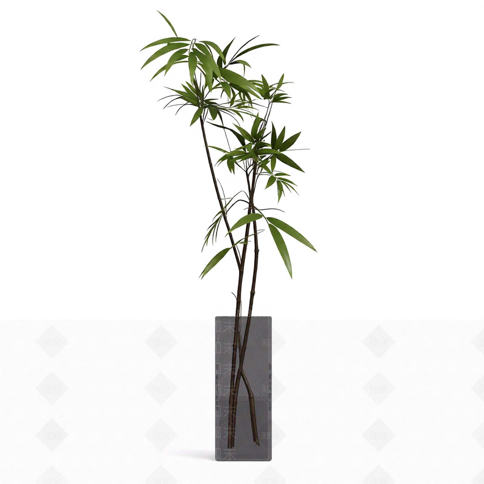 带盆完整盆栽3D模型下载【ID:1206196298】