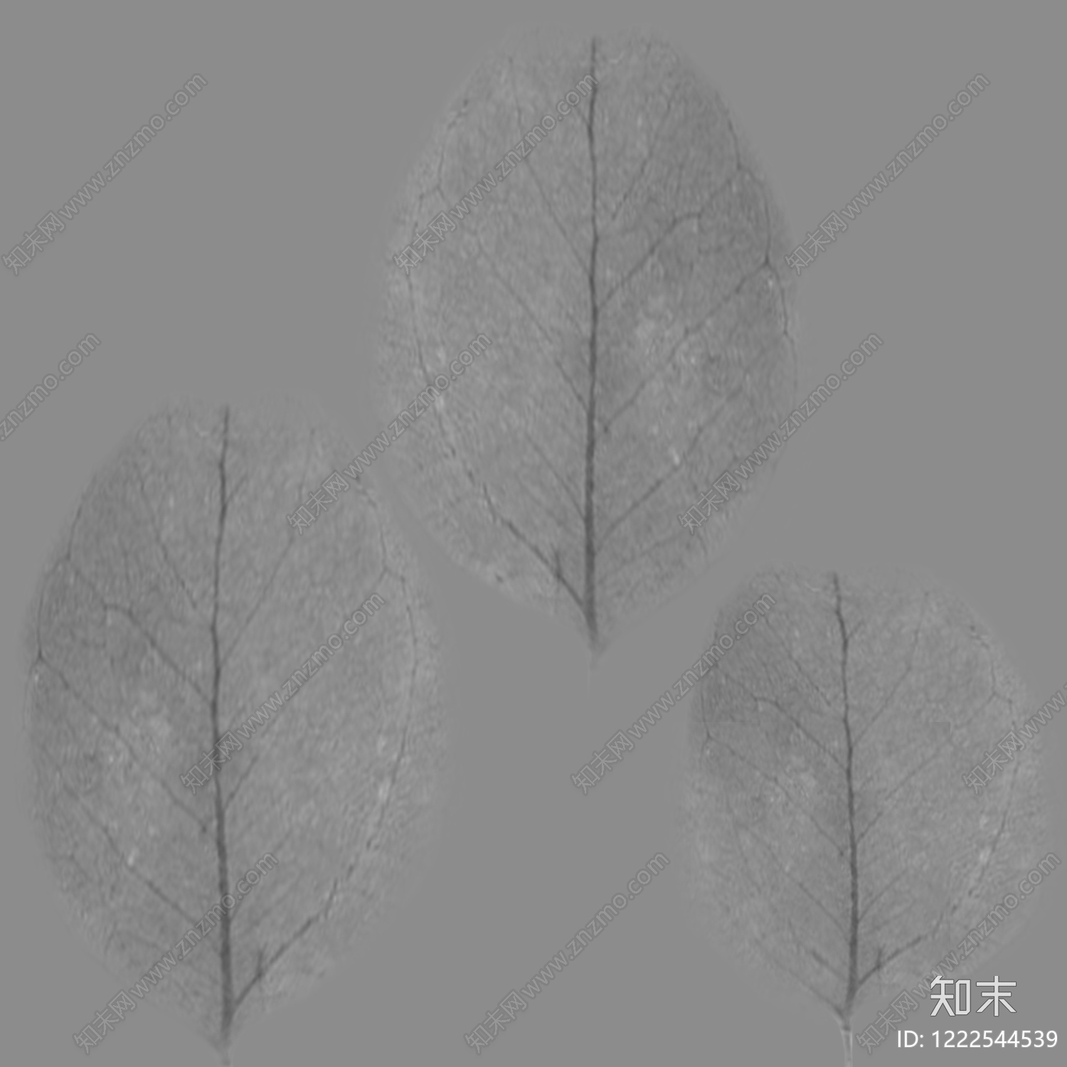 植物壁纸高清贴图材质