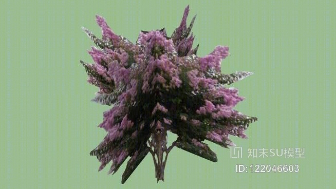 紫薇树SU模型下载【ID:122046603】