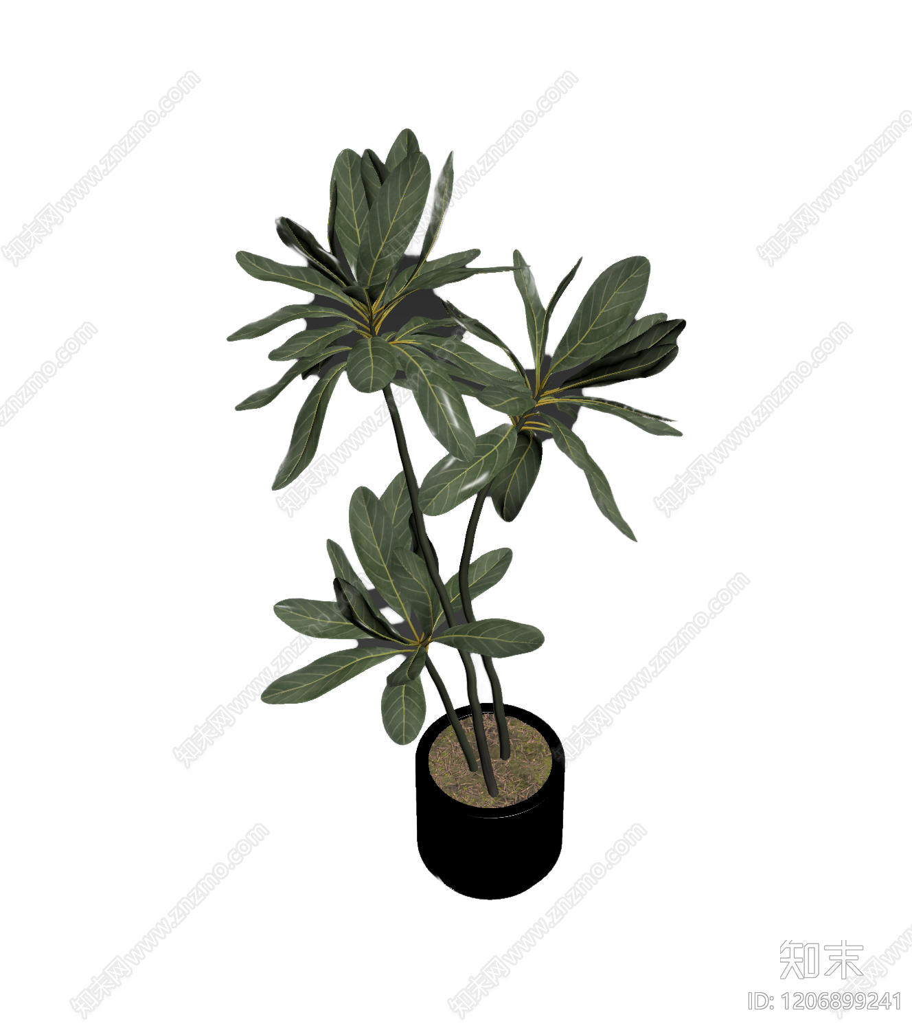 盆栽植物组合3D模型下载【ID:1206899241】