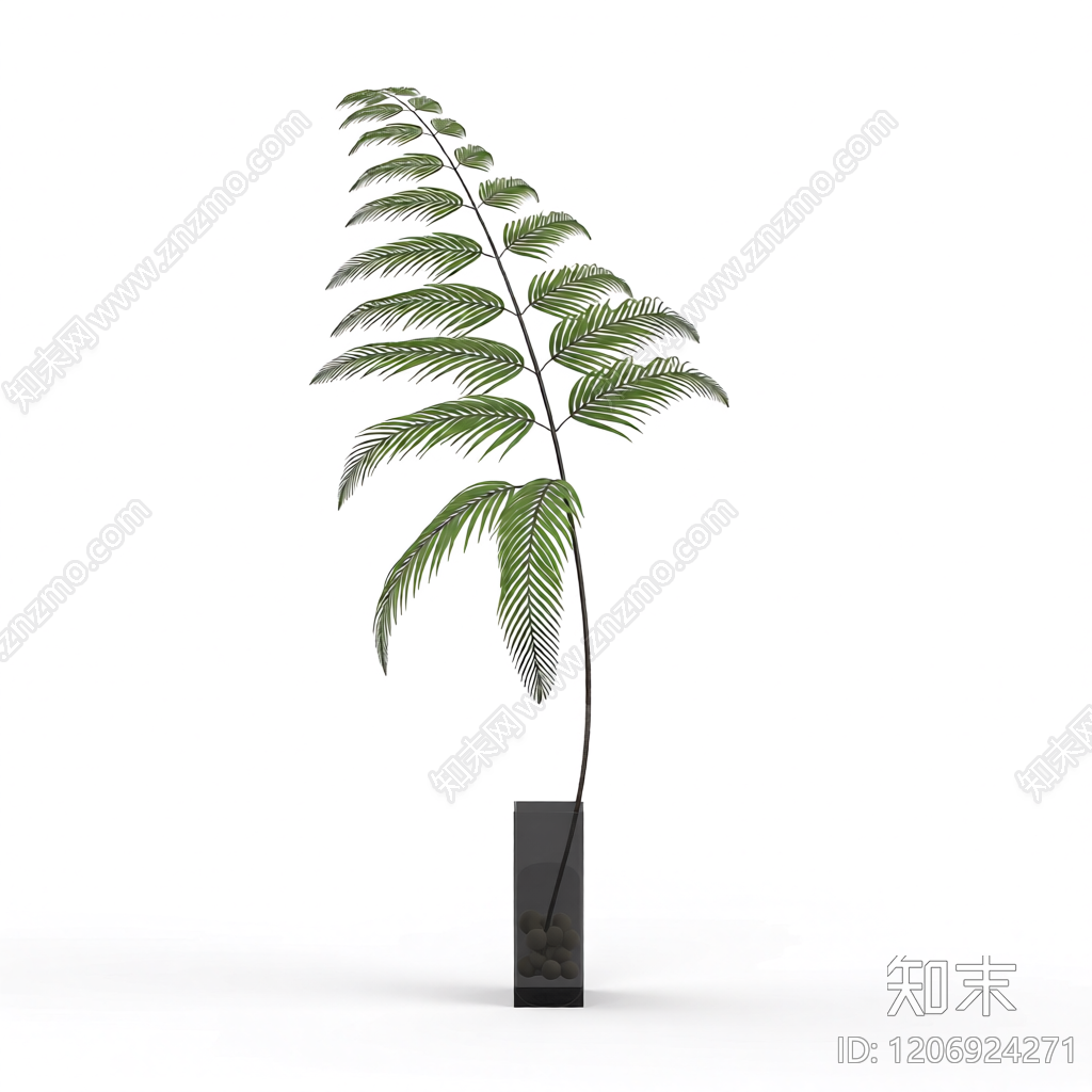 盆栽蕨类植物3D模型下载【ID:1206924271】