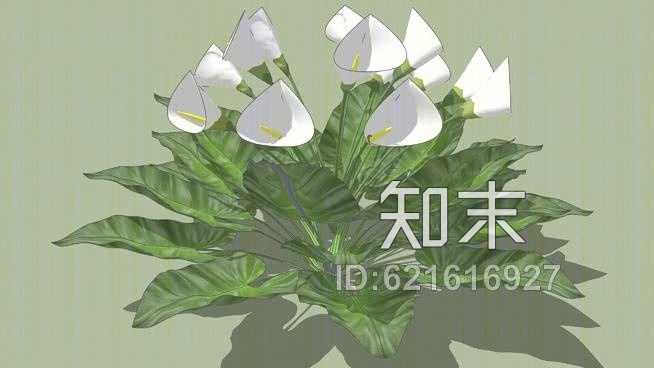 马蹄莲SU模型下载【ID:621616927】