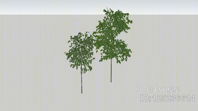 榕树8’5～11’SU模型下载【ID:125236614】