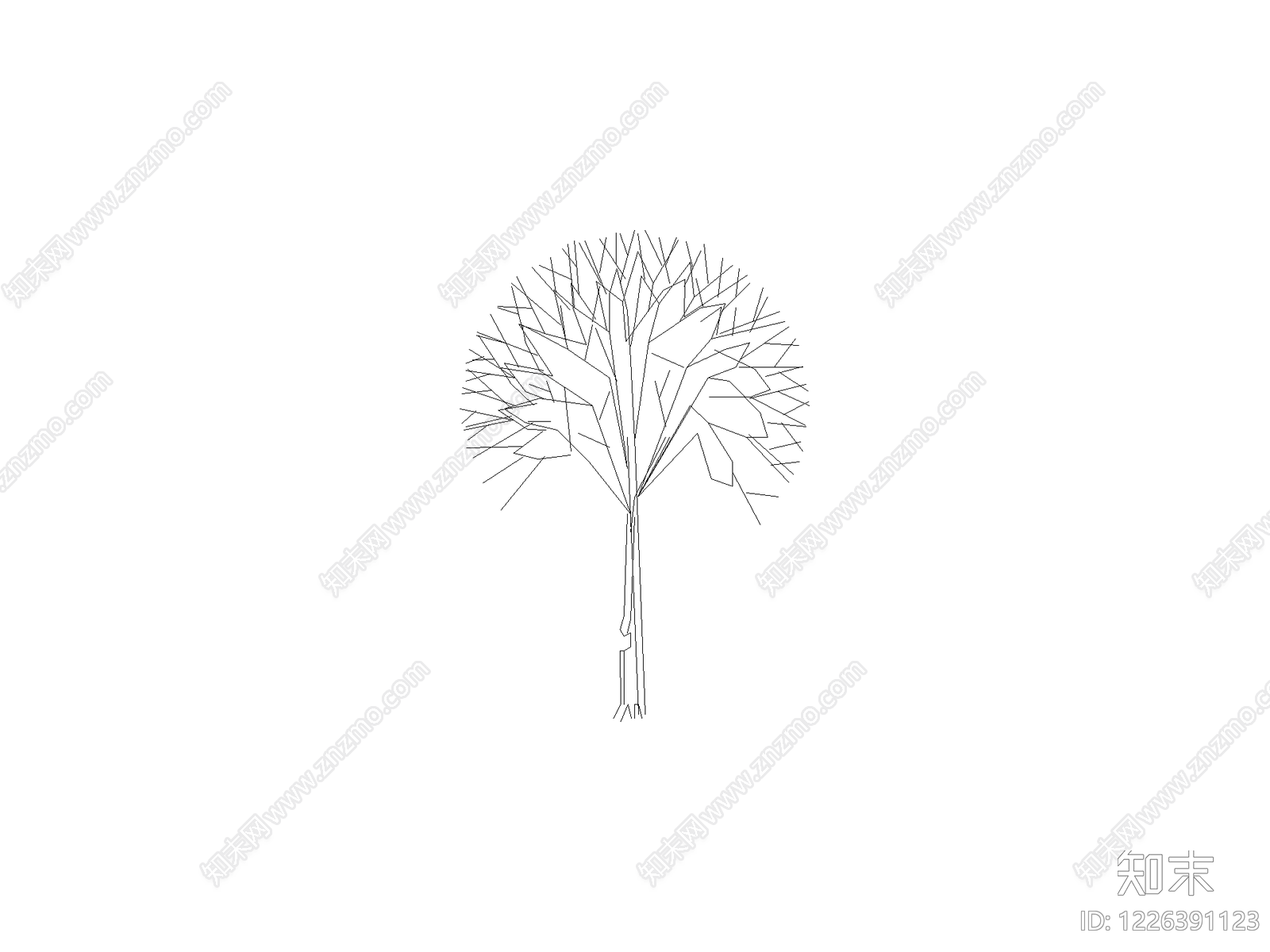 乔木种植CAD图纸