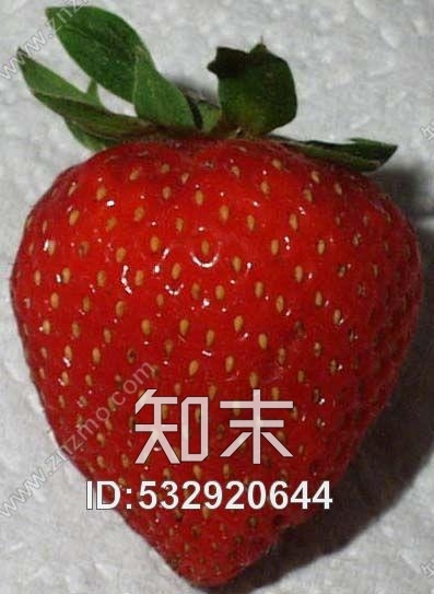 其他杂项-水果贴图贴图下载【ID:532920644】