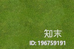 草坪下载【ID:196759191】