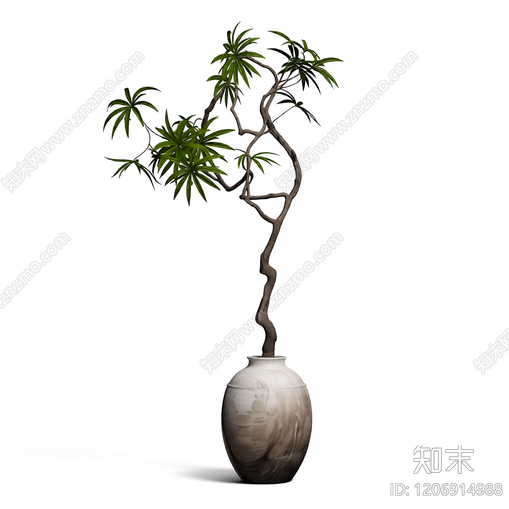 盆栽植物装饰3D模型下载【ID:1206914988】