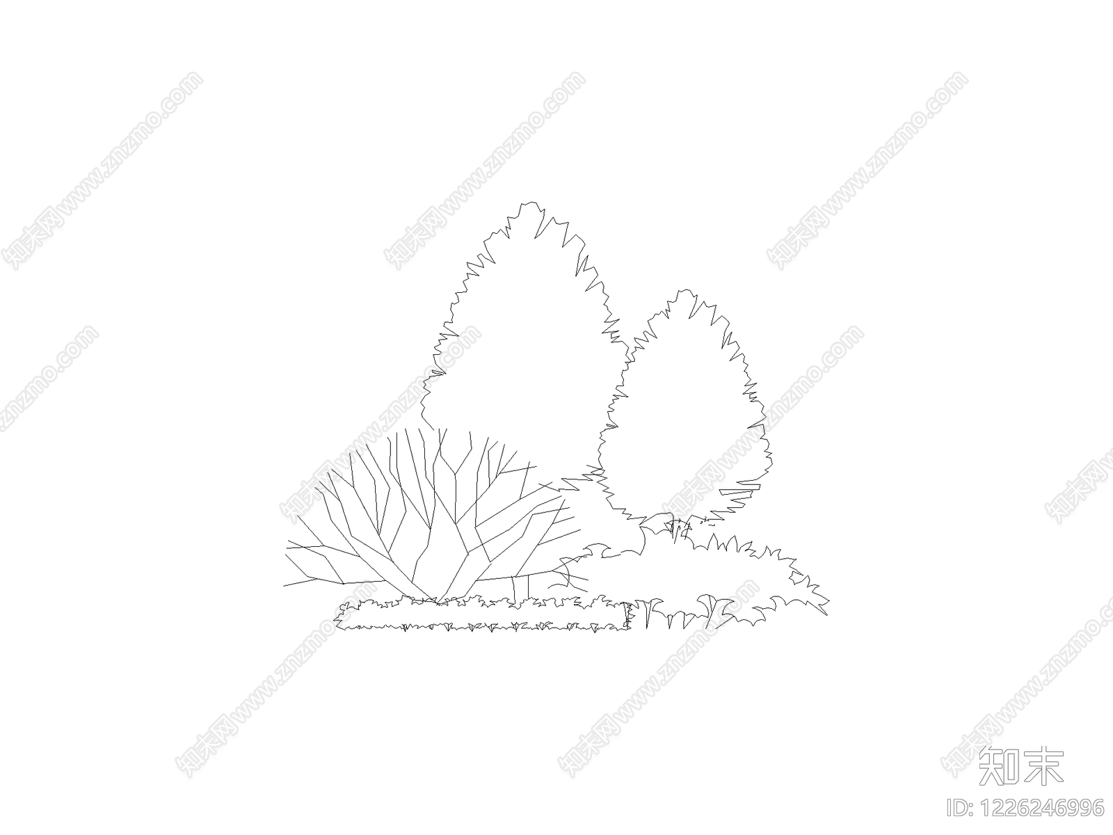 现代植物配置图库CAD图纸