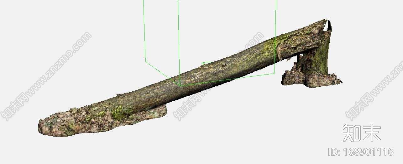 高精度植物，树木，森林，3D高模CG模型下载【ID:168901116】