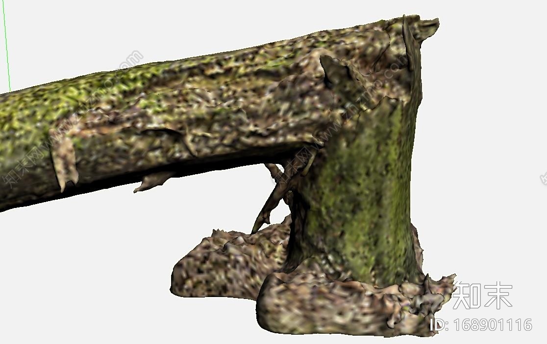 高精度植物，树木，森林，3D高模CG模型下载【ID:168901116】
